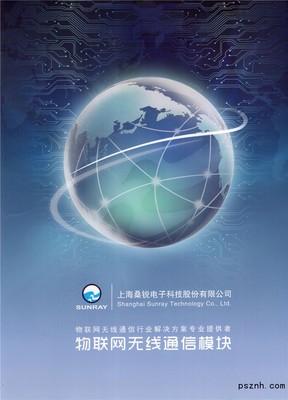 上海桑锐电子科技 赋能智慧城市，引领水务与燃气领域的物联网技术创新